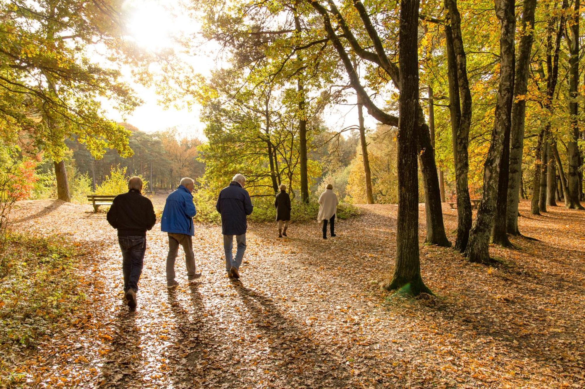 Molecaten Park De Leemkule Hattem Ngoại thất bức ảnh