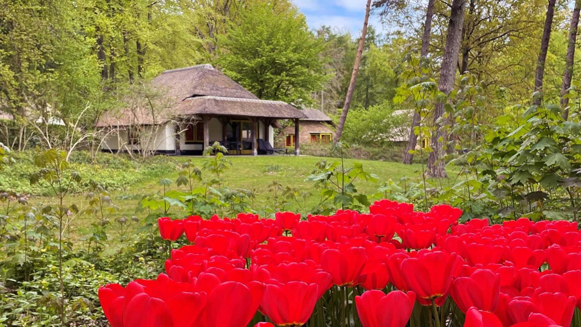 Molecaten Park De Leemkule Hattem Phòng bức ảnh