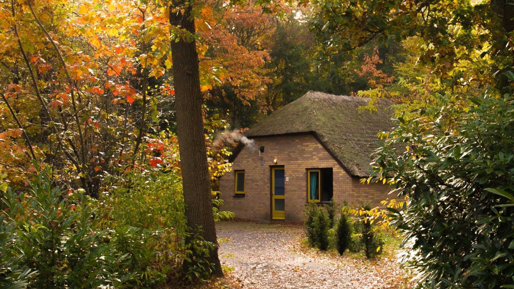 Molecaten Park De Leemkule Hattem Phòng bức ảnh