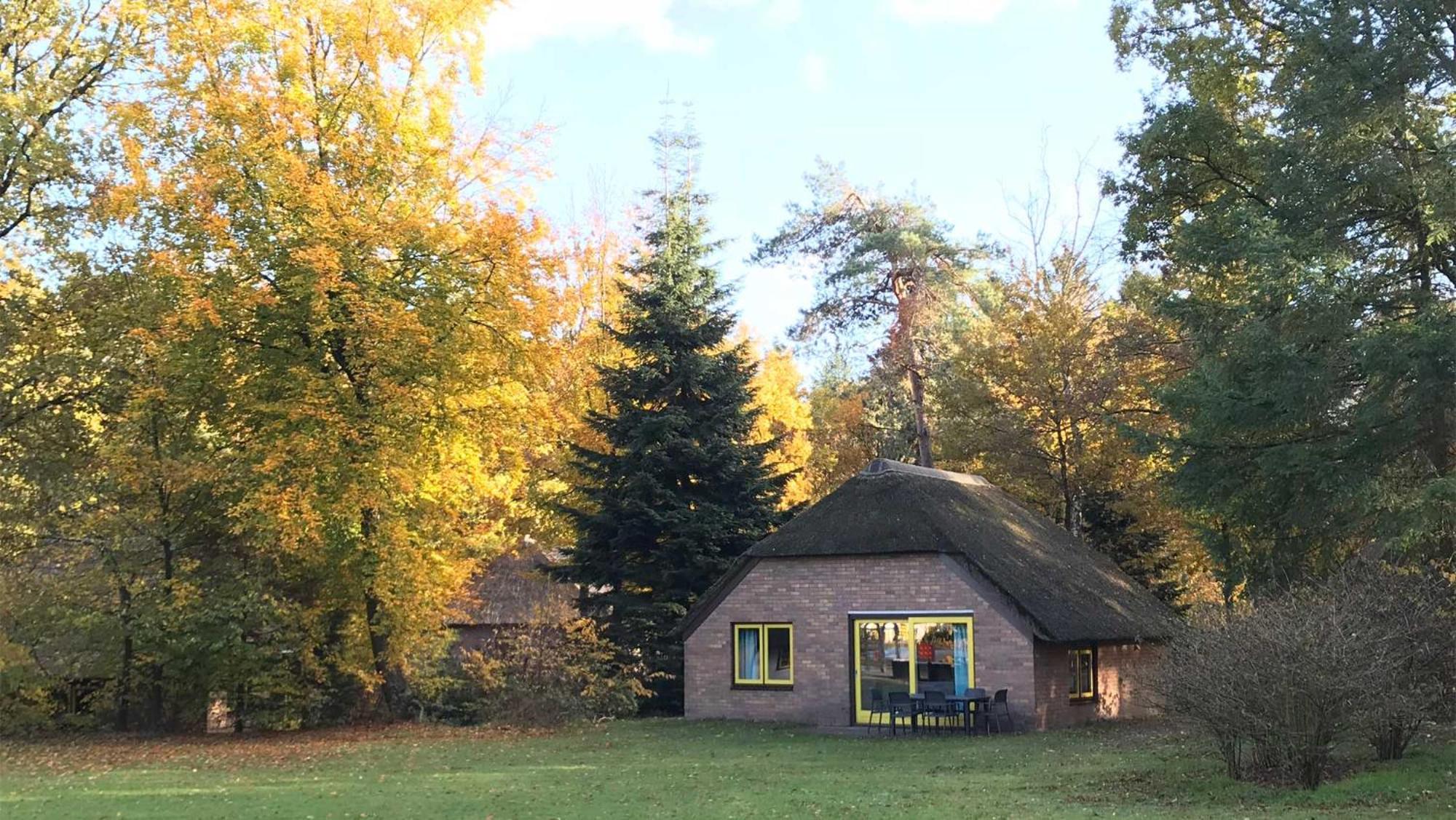 Molecaten Park De Leemkule Hattem Phòng bức ảnh