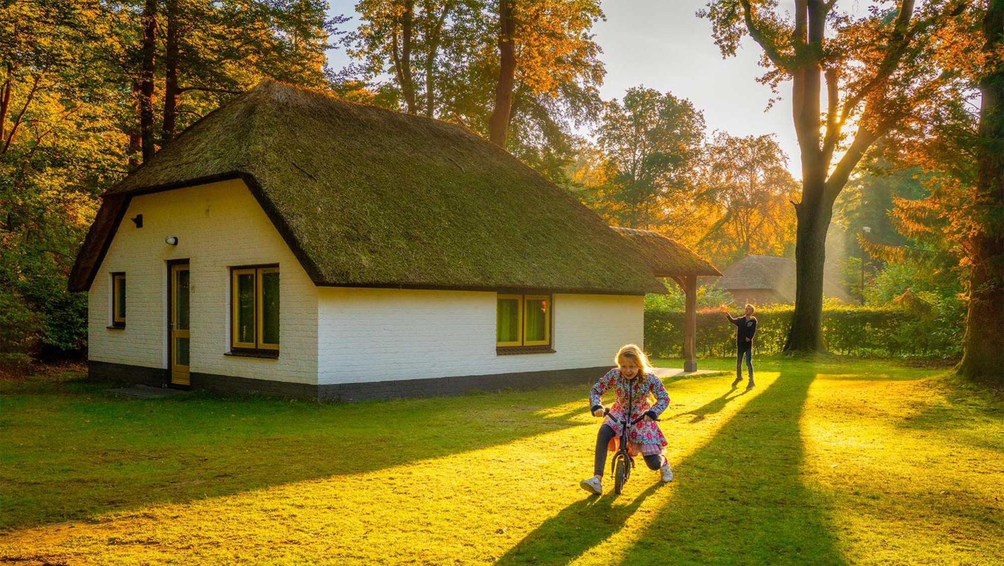 Molecaten Park De Leemkule Hattem Phòng bức ảnh